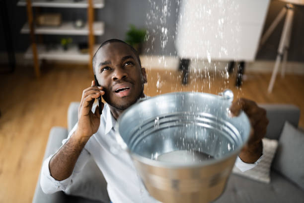 Best Professional water damage repair  in Upper Sandusky, OH