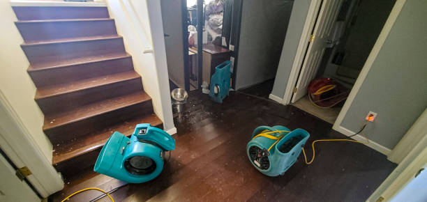Best Residential water damage restoration  in Upper Sandusky, OH