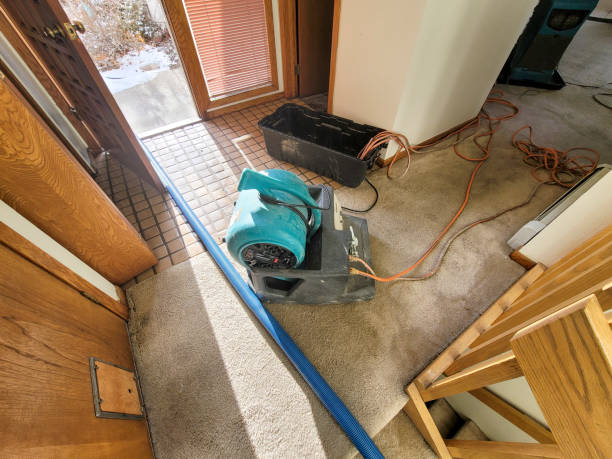 Best Sewage cleanup and water damage restoration  in Upper Sandusky, OH