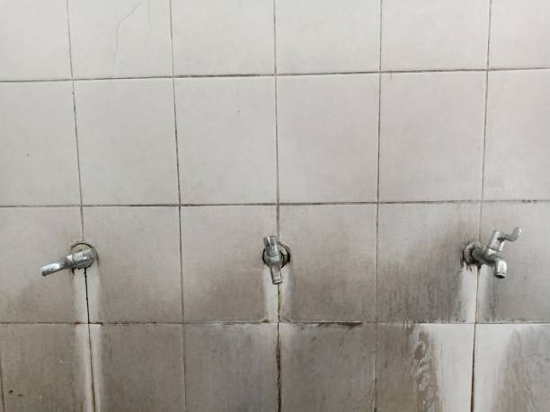Best Sewage cleanup and water damage restoration  in Upper Sandusky, OH