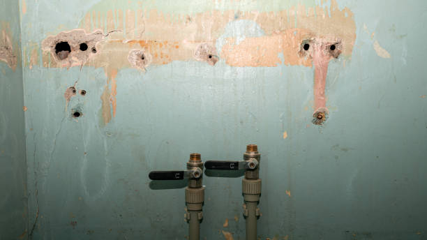 Reliable Upper Sandusky, OH Water damage restoration Solutions
