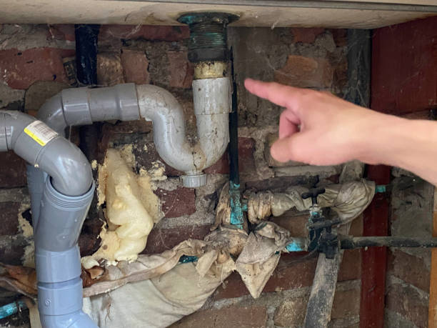 Best Flooded house restoration  in Upper Sandusky, OH