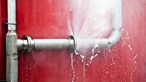 Best Flood damage cleanup  in Upper Sandusky, OH