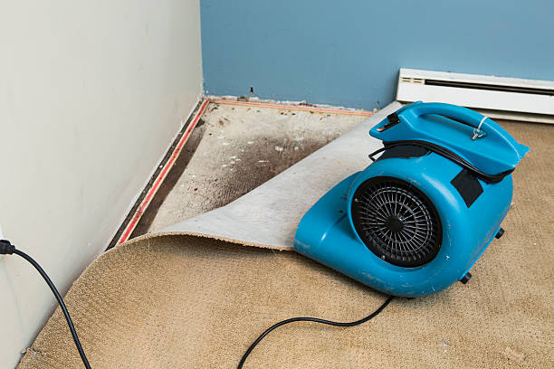 Best Local water damage restoration  in Upper Sandusky, OH